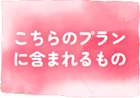 こちらのプランに含まれるもの