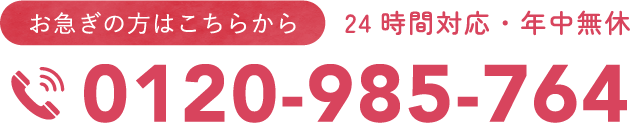 0120-985-764