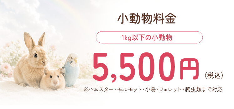 小動物料金 1kg以下の小動物5500円（税込）