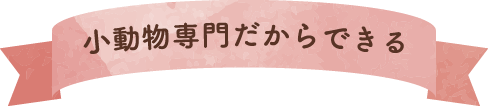 小動物専門だからできる