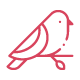 鳥